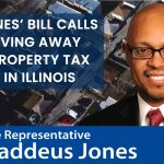 New bill calls for Illinois to consider ditching property taxes entirely