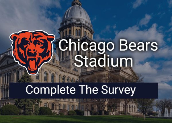 bears_survey
